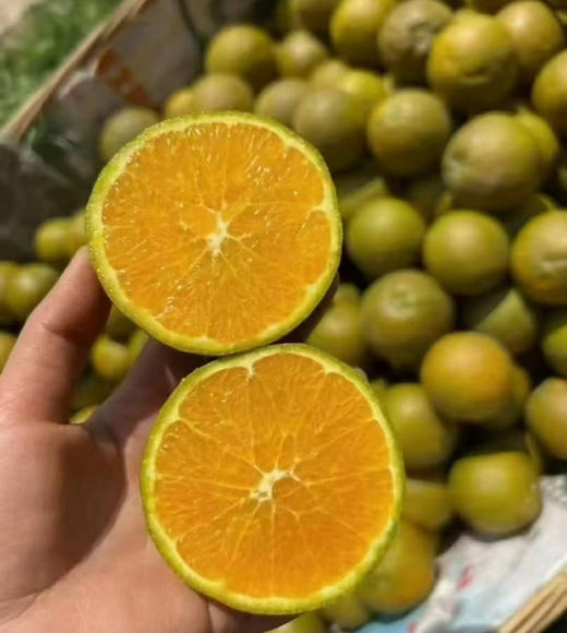 【秭归黑美人-巧克力橙】
几乎纯甜的口感，橙味浓郁到极致，果香中自带坚果味奶香，你细品！它的独特气质，你懂！7斤/箱 商品图1