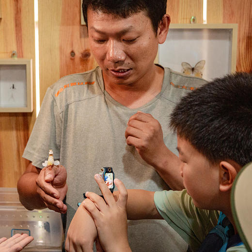 昆虫世界的派对|云南 西双版纳·基诺山昆虫夜游【go小团】 商品图2