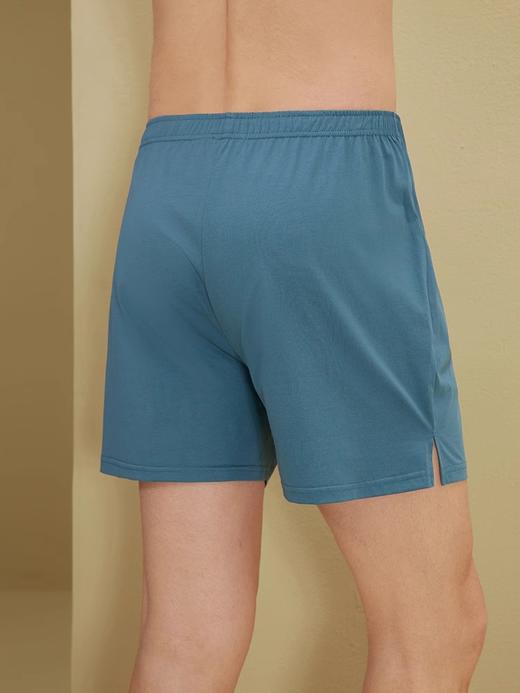 *weyo男款长绒棉液氨新款休闲简约居家短裤23501 商品图3