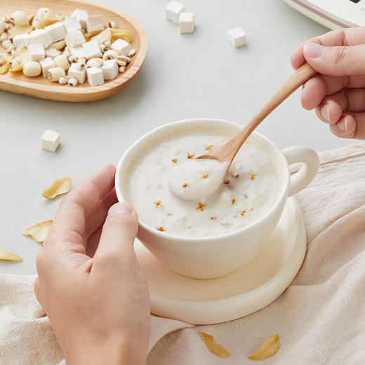 燕之坊 茯苓百合粉500g 商品图9