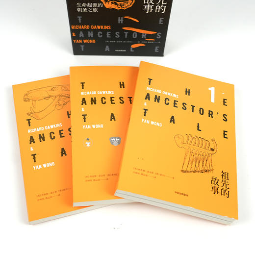 【英】理查德·道金斯《祖先的故事：生命起源的朝圣之旅》 商品图2