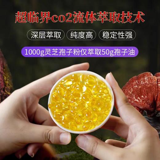 敖东灵芝孢子油软胶囊增强免疫力提破壁灵芝孢子粉官方正品高含量120粒 商品图4