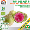 全国发货满额包邮 新鲜有机蔬菜 心里美萝卜400g 欧盟认证彩虹雨农场 商品缩略图0