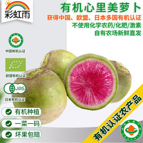 全国发货满额包邮 新鲜有机蔬菜 心里美萝卜400g 欧盟认证彩虹雨农场