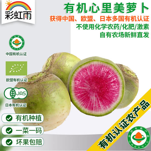 全国发货满额包邮 新鲜有机蔬菜 心里美萝卜400g 欧盟认证彩虹雨农场 商品图0