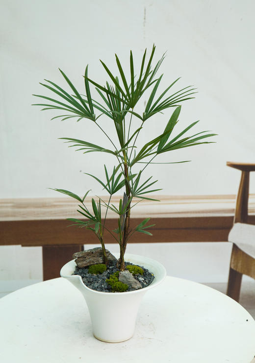 金山棕 商品图0