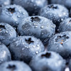 云南花香蓝莓|蓝莓界“天花板”，完胜进口货！甜脆有花香 、野味浓郁 商品缩略图5