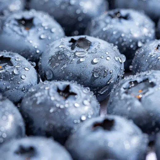 云南花香蓝莓|蓝莓界“天花板”，完胜进口货！甜脆有花香 、野味浓郁 商品图5