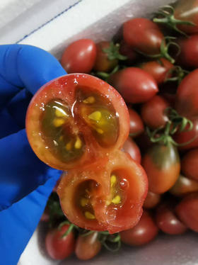 子弹头柿子，富含多种维生素和矿物质，是您餐桌上的健康之选。每一颗子弹头柿子都蕴含着丰富的果肉，轻轻一咬，鲜甜的汁液即刻充满口腔，带来无与伦比的美味体验。500克/盒