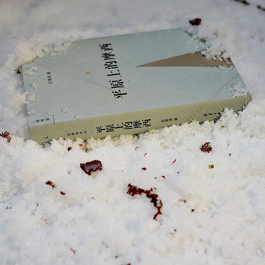 平原上的摩西 双雪涛 著 商品图6