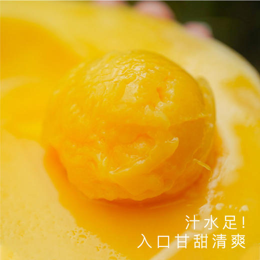 艾格吃饱了正宗海南红玉芒果新鲜采摘应季水果8斤 商品图2