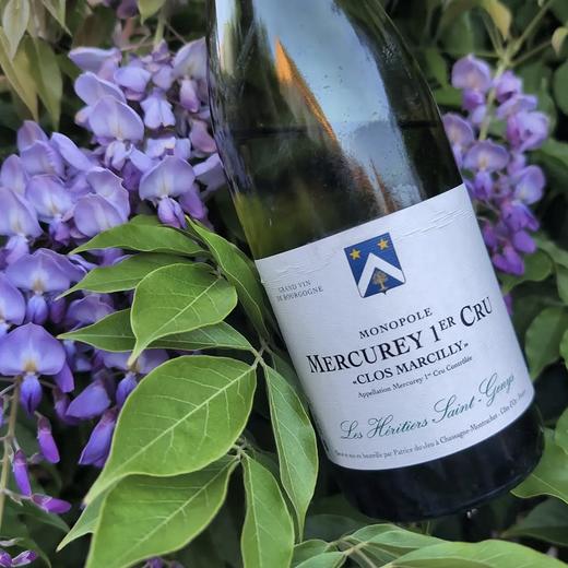 一级独占园60年老藤！圣珍尼梅尔居雷一级园玛希 Les Heritiers Saint-Genys Mercurey 1er Cru Clos Marcilly Monopole Blanc 2019 商品图3