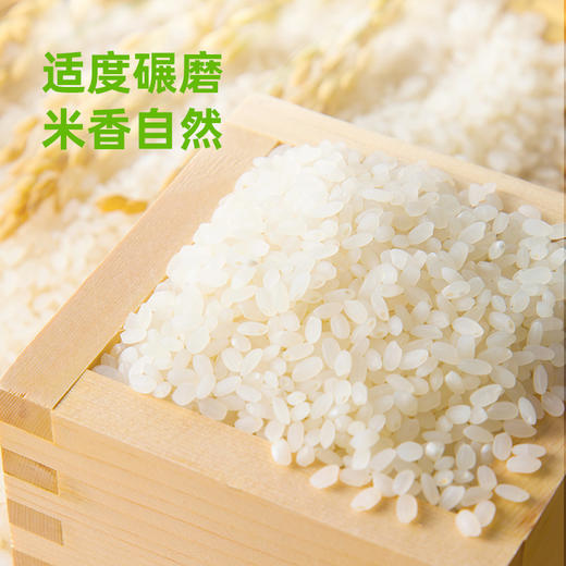 【3袋】海天代代田东北珍珠米400g*3真空包装粳米天然稻香好吃安心实价 商品图2