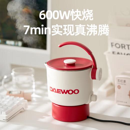 大宇便携式烧水壶 电水壶折叠316不锈钢 0.8L小型旅行恒温折叠电热水壶家用烧水壶保温防干烧烧水杯 0.8L 商品图4