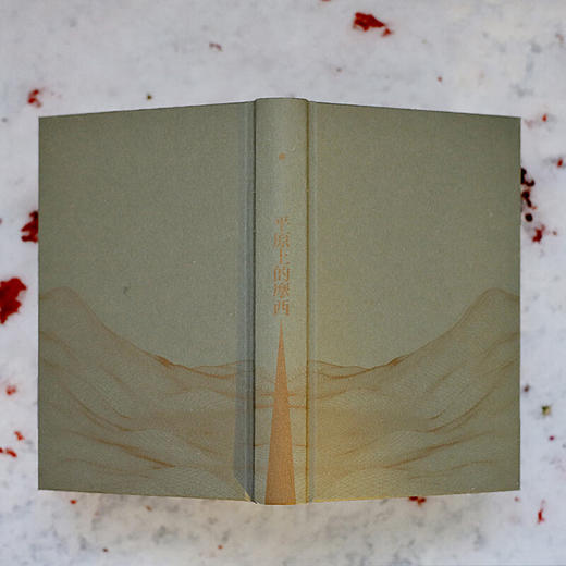 平原上的摩西 双雪涛 著 商品图3