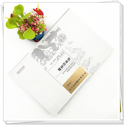 伤寒经集解 中国古医籍整理丛书 续编 (清) 屠人杰 辑著 中国中医药出版社 商品图1