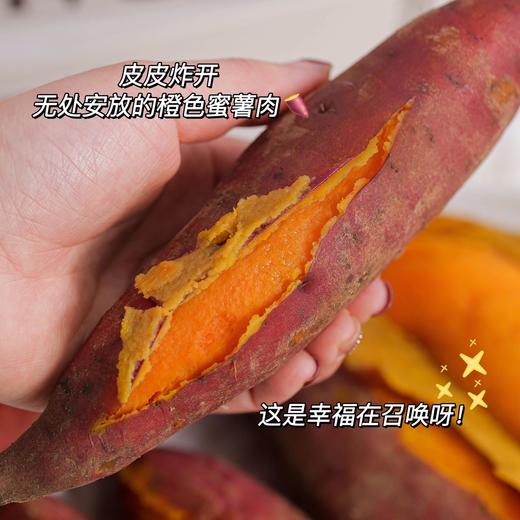 【分仓直发包邮】西瓜红蜜薯小薯3斤（净重：2.7-3斤）单果：50-100克 商品图1