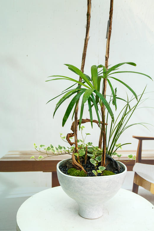 金山棕 商品图1