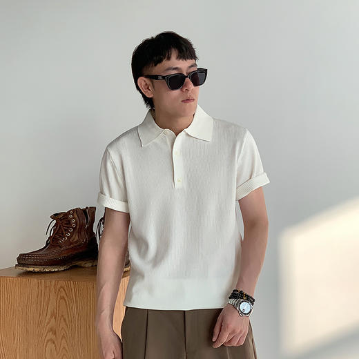 徐太浪高品质肌理纹短袖POLO衫男2025新款夏季休闲五分袖有领上衣 商品图1
