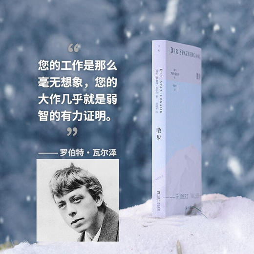 散步（不散步我就像死了一样……）（瑞士）罗伯特·瓦尔泽 著 商品图4