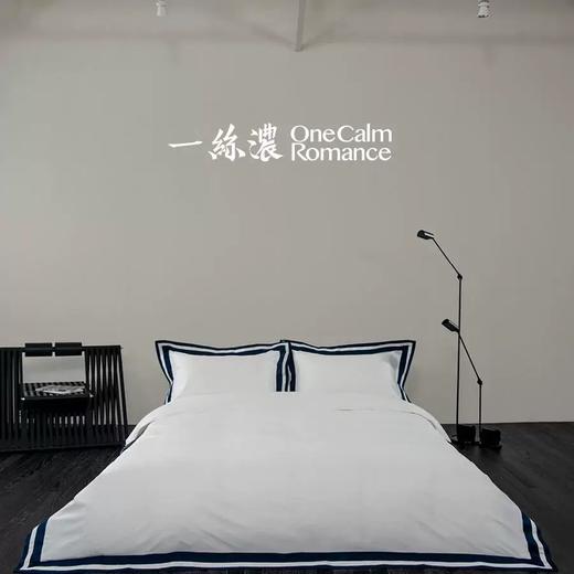 一丝浓文武系列100支长绒棉奢华现代四件套 商品图4