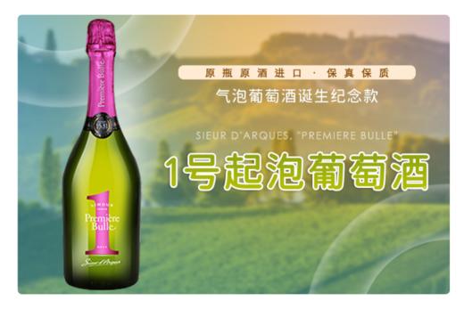 法国-1号起泡酒 商品图0