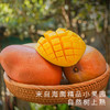 艾格吃饱了正宗海南红玉芒果新鲜采摘应季水果8斤 商品缩略图0