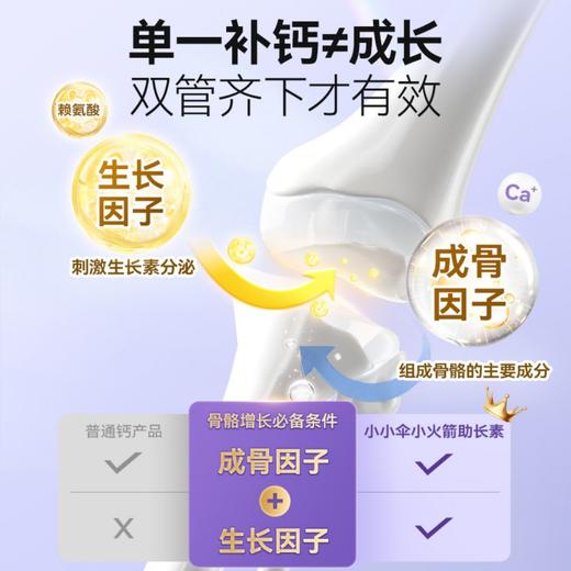 【保税】新西兰 小小伞（Little Umbrella）赖氨酸钙 60粒/瓶 商品图3
