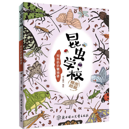 《昆虫学校秘密档案》全套8册 小学推荐阅读 商品图7