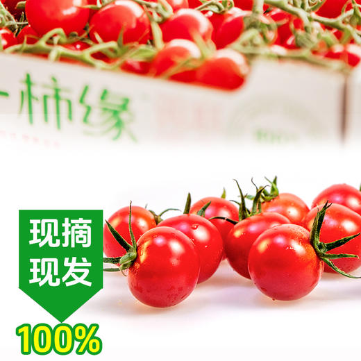 【杨博士甄选】礼盒装 一柿缘串收小番茄 酸甜多汁 一口爆汁 自然成熟水果车厘串茄 商品图1