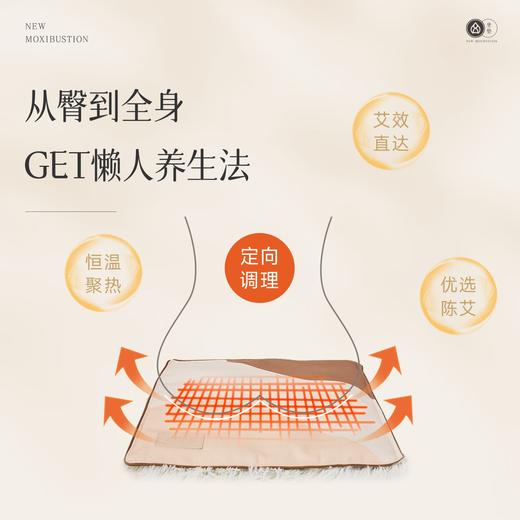 艾修堂  艾绒坐垫C1  AP-C1 商品图2