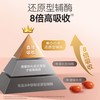 【保税】新西兰 小小伞（Little Umbrella）Q10辅酶 30粒/瓶 商品缩略图1