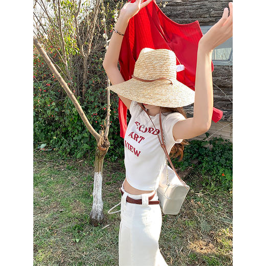 【99元任选2件】现货秒杀！卖完不补 ！微信打折价！字母印花短款短袖T 商品图2