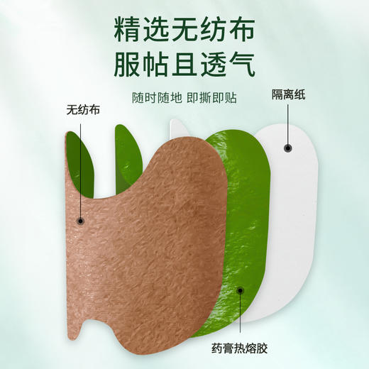 雷允上艾草生姜膝盖贴12贴/盒 商品图2