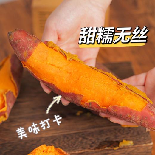 【分仓直发包邮】西瓜红蜜薯小薯3斤（净重：2.7-3斤）单果：50-100克 商品图2