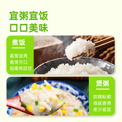【3袋】海天代代田东北珍珠米400g*3真空包装粳米天然稻香好吃安心实价 商品图5