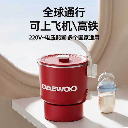 大宇便携式烧水壶 电水壶折叠316不锈钢 0.8L小型旅行恒温折叠电热水壶家用烧水壶保温防干烧烧水杯 0.8L 商品图0