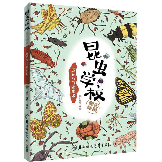 《昆虫学校秘密档案》全套8册 小学推荐阅读 商品图6
