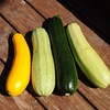 生态西葫芦 | 绿家自产* Eco-zucchini | Self-production 商品缩略图2