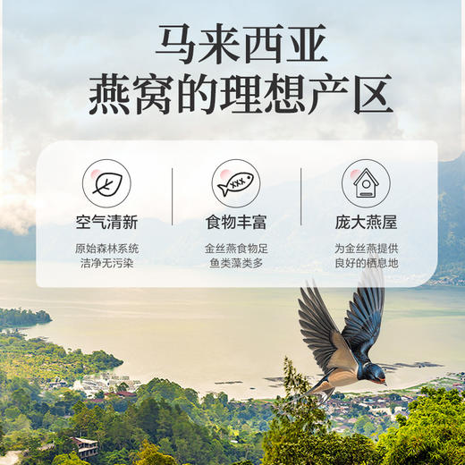 雷允上马来西亚七星级燕窝50g/盒 商品图3