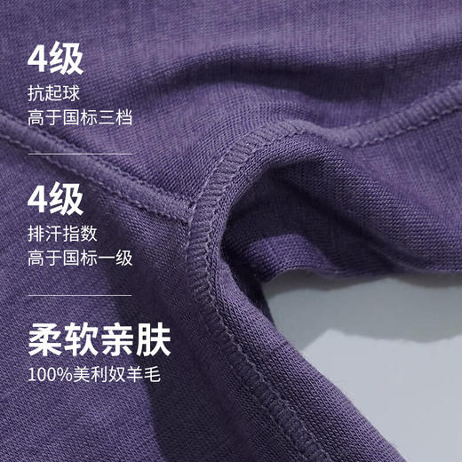 灰壳GP100%美利奴羊毛17.5微米速干长袖（女款） 商品图2