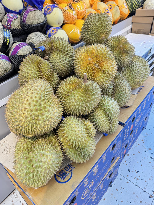 Sc泰国特供金枕榴莲49.8元/斤（称重后退差价默认代拨） 商品图1