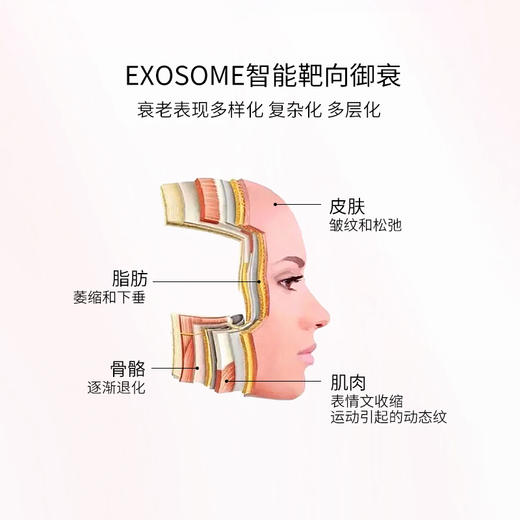 RECORE SERUM DDS外泌体胶囊精华 红宝石精华 48颗/盒 商品图2