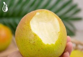 玉露香梨到货👏口口爆汁，如饮玉露，个大、端正，具有皮薄、肉细、核小、含糖量高等诸多优