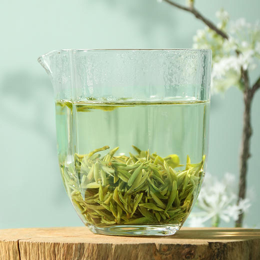 2025早春碧螺春 早春嫩芽特级碧螺春满身批白毫250g 商品图1