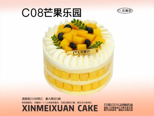 C08芒果乐园 商品图0