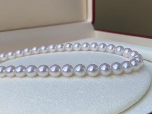 7mm-8mm akoya珍珠项链 商品图2