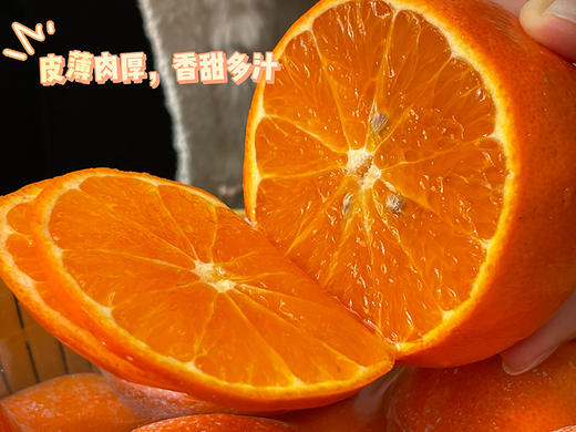 【分仓直发包邮】广西茂谷柑小果2斤（小果果径: 60-65mm， 每斤5-6个左右） 商品图3