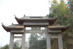  2025茶山日记6｜既见曼松，是喜是忧？ 