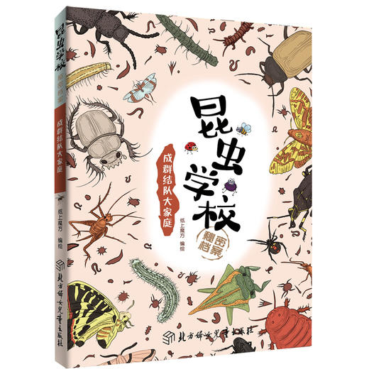 《昆虫学校秘密档案》全套8册 小学推荐阅读 商品图1